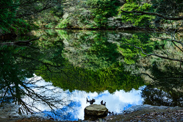 森林の森公園相原池、水面に映り込む自然の風景
