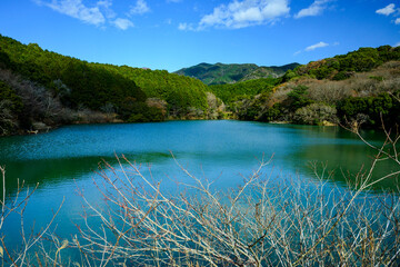 森林の森公園相原池の全景