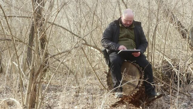 a man in the forest sitting on a large stump looks at his photos in his laptop-transformer