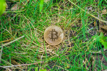 bitcoin on the grass green concept enviroment pollution