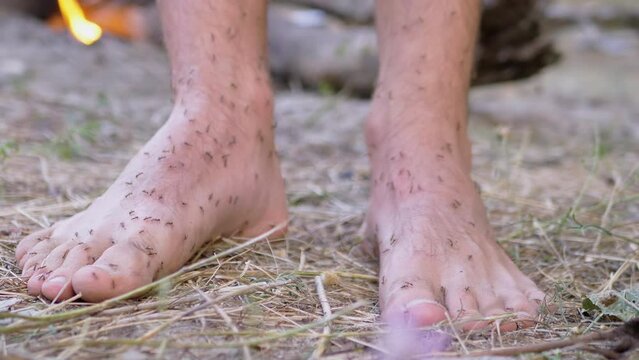 Army of Brown Ants is Crawling on Human Bare Legs Standing on Grass. Large number of ants of Formycin family attack, bites, runs on tourist hairy male feet. Camping outdoor. Summertime. 4K. Close up.