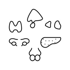 gland human organ line icon vector illustration
