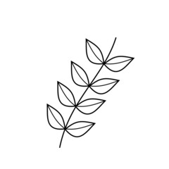 Palm leaves Line Art Illustration