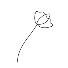 one line art flower illustration