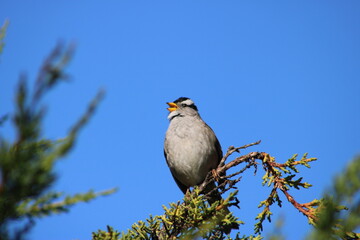 Winter at Land's End