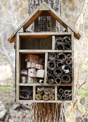 insect hotel 