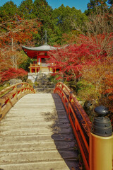 京都、醍醐寺の弁天堂と紅葉の景観です