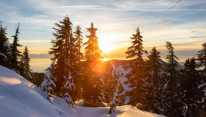 Sunset View from top of Hollyburn Mountain in Winter Season. West Vancouver, British Columbia, Canada. Canadian Nature Background