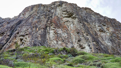 Rock wall seen from below with lots of green