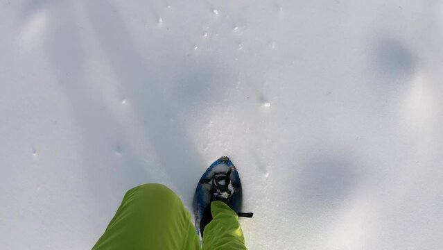 Person walking in snow shoes near mount Seinerkreuz on Packsattel in Styria, Austria. Winter in Austrian Alps. Meadows are completely covered with fresh, powder snow. Sunny day. Outdoor activities
