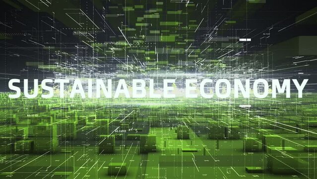 Sustainable, Environmental and Digital Economic Models