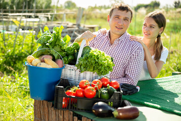 Fototapeta premium Portrait of young family couple with harvest of vegetables in garden outdoor