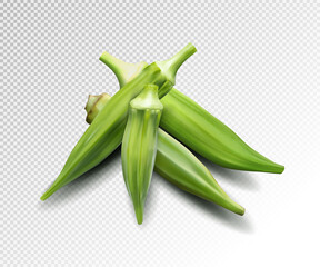 Fresh young okra isolated on transparent background. Quality realistic vector, 3d illustration - 488909940