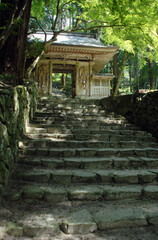 百済寺　参道と仁王門　 滋賀県東近江市