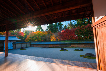 京都　龍安寺の石庭と紅葉　朝