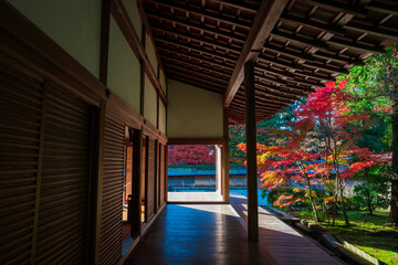 京都　龍安寺の石庭と紅葉