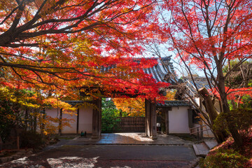 京都　龍安寺の山門と紅葉