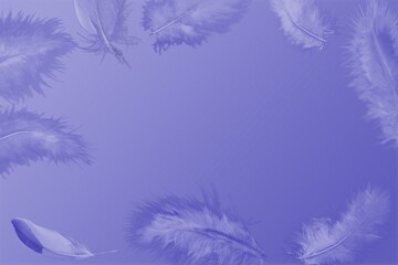 The trending color of the new year is very peri. Light feathers on a purple background. Fashion color 2022.