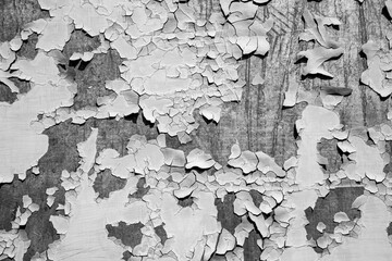 Cracked paint on mangy, metal surface, background black and white