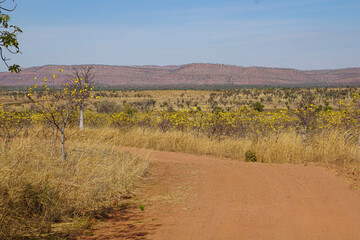The gravel road and view of the arid Australian Bush.