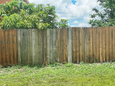 wooden fence and green grass