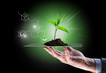 biotechnology science and medicine background, hands hold a tablet with a green plants and digital...