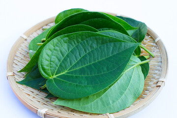 Green betel leaves, Fresh piper betle on white background