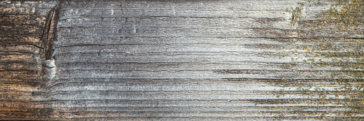 grunge background: sunburnt whitened wood surface close, cracks and dents, toning