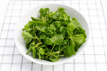 Watercress in bowl on white background
