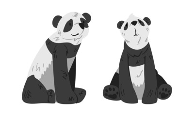 Cute panda wild animals cartoon vector illustration on white background