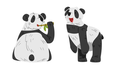 Cute panda eating bamboo. Lovely wild animal cartoon vector illustration