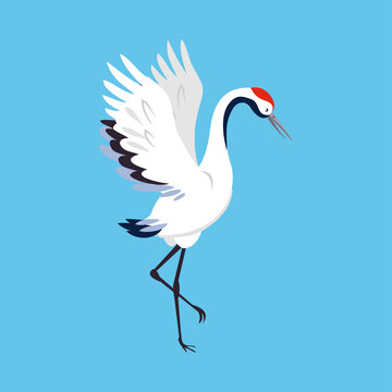 Red Crowned Crane as Long-legged and Long-necked Bird Standing with Spread Wings on Blue Background Vector Illustration