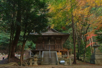 滋賀県多賀町にある胡宮神社の観音堂と紅葉の景色