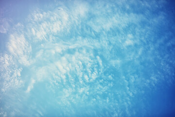 High clouds in the summer sky. Sky background. Meteorological observations of the sky.