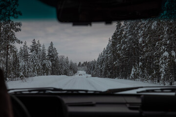 A group of elk or animals deer on the snowy icy road in Sweden in winter time. Dangerous situation...