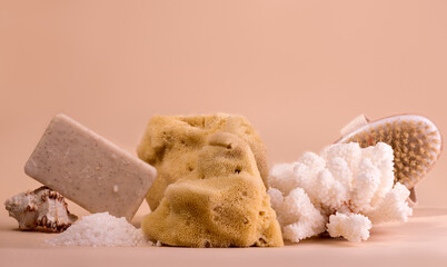 Spa And Beauty Care Set of Sea Sponge Soap and Various Shells.