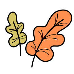 Cartoon plant leaf in doodle style vector illustration, hand-drawn style, isolated on white background