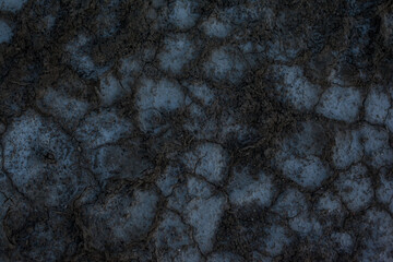 Texture of the dried earth. Dark gray background with cracks and hollows. Drought and lack of moisture in the soil. The consequences of abnormal heat. Environmental disaster. Global warming.