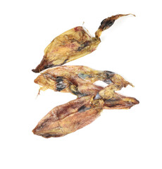 fish on a white background