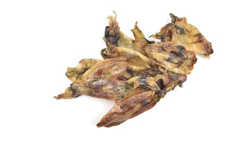 shell isolated on white