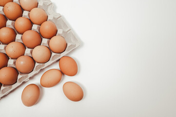 The white background with copy space and the eggs in the paper tray.