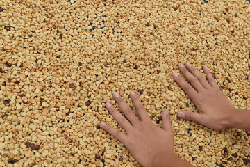  Close up of coffee beans for background                                                               