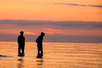 Fototapeta premium Sunset Swim at Golden hour
