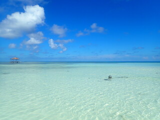 モルディブ　ヒマフシ島の海