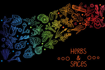 Herbs and spices, hand-drawn doodle-style elements. Layout of packaging on a black background. Rainbow of aromatic plants. Culinary. Postcard design. Sketch style.