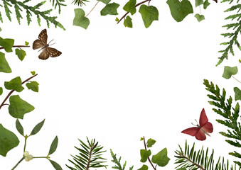 Botanical hand drawn frame with green ivy leaves, spruce branches and lovely butterlies. Spring or summer flowers for invitation, decoration, wedding or birthday card
