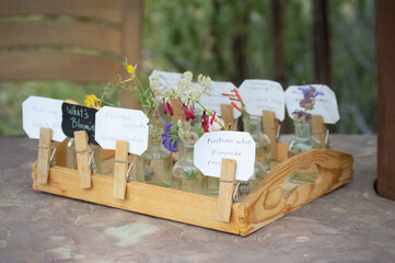 Labeled Flowers In Botanical Garden