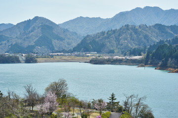 神奈川県　鳥居原園地からの宮ケ瀬湖
