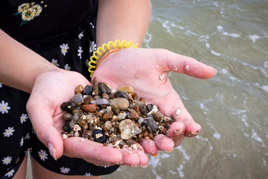 girl's palms with wet sea pebbles and shells against the background of the sea