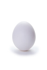 White chicken egg.